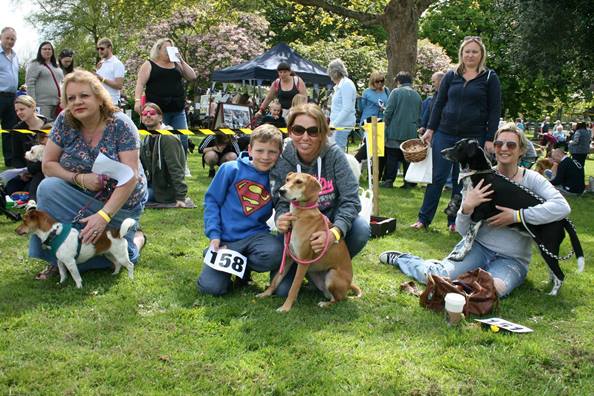 Greek dog show 2017